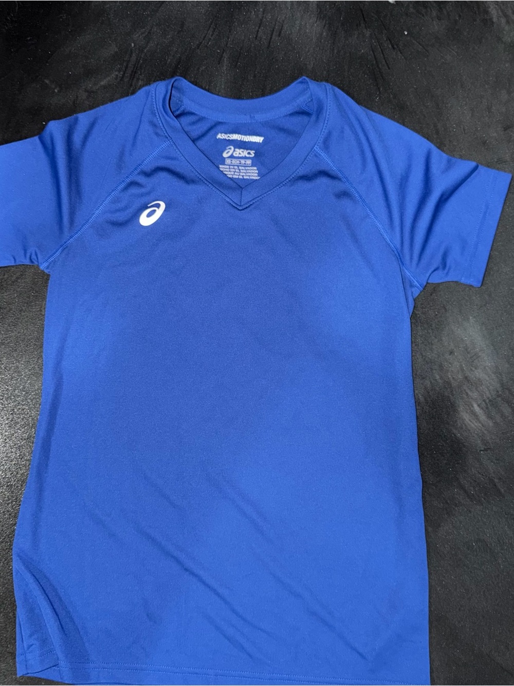 Asics Royal Blue Men's Short-Sleeve Swim Rash Guard